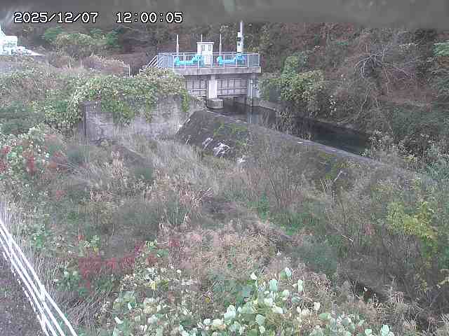 山白川３2025/12/08 11:30:00