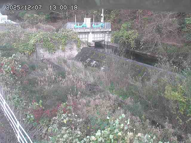 山白川３2025/12/08 11:30:00