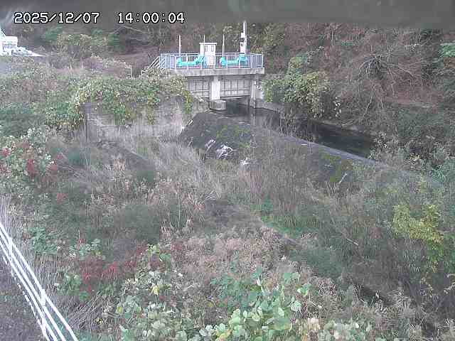 山白川３2025/12/08 11:30:00
