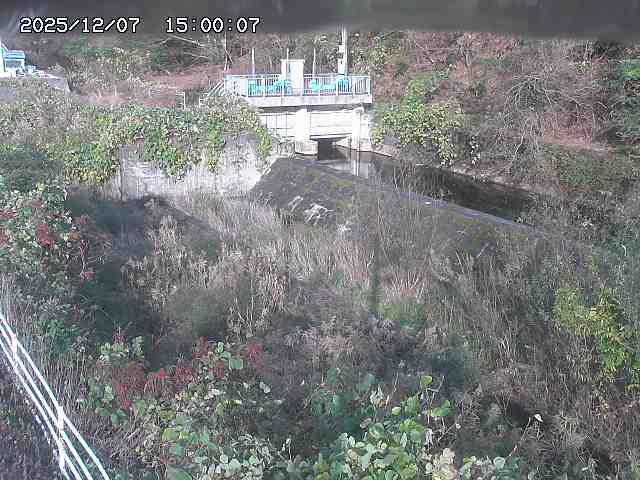 山白川３2025/12/08 11:30:00