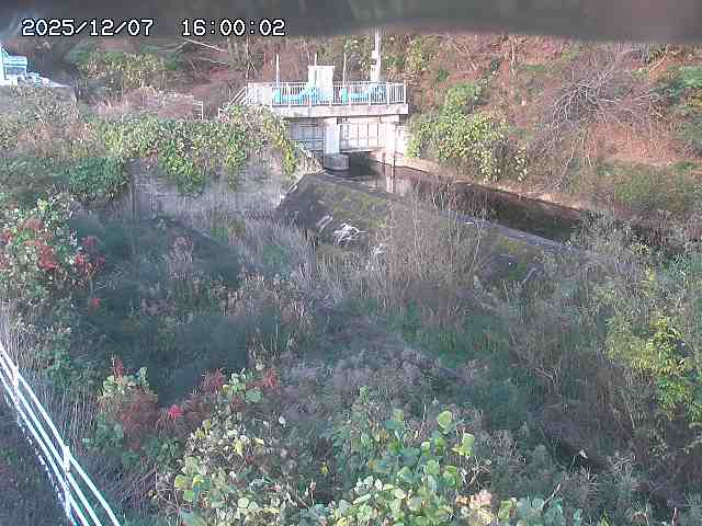 山白川３2025/12/08 11:30:00