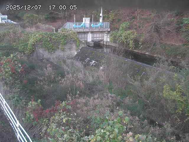 山白川３2025/12/08 11:30:00