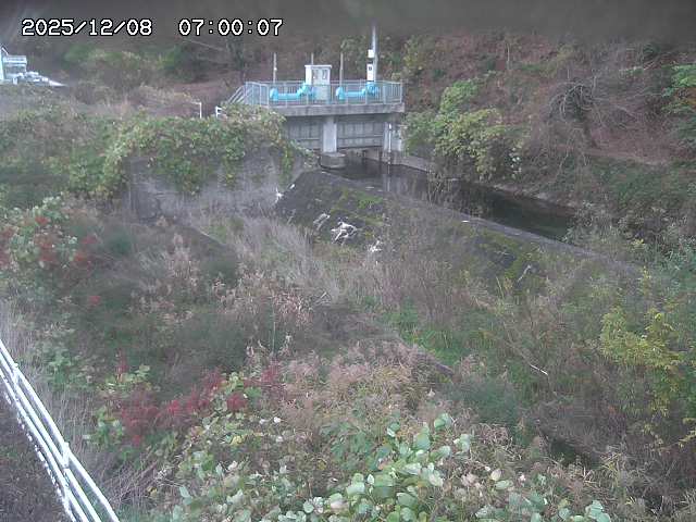 山白川３2025/12/08 11:30:00