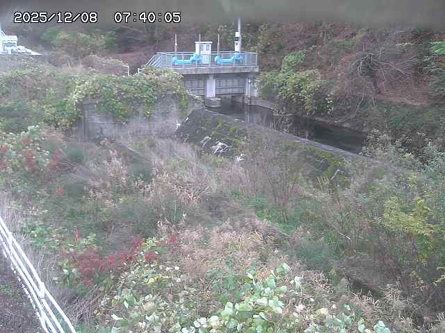 山白川３2025/12/08 11:30:00