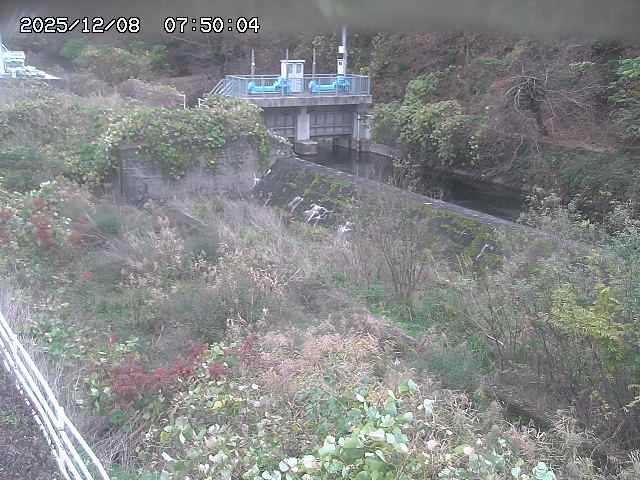 山白川３2025/12/08 11:30:00