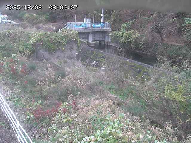 山白川３2025/12/08 11:30:00