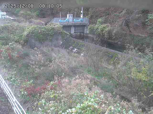 山白川３2025/12/08 11:30:00