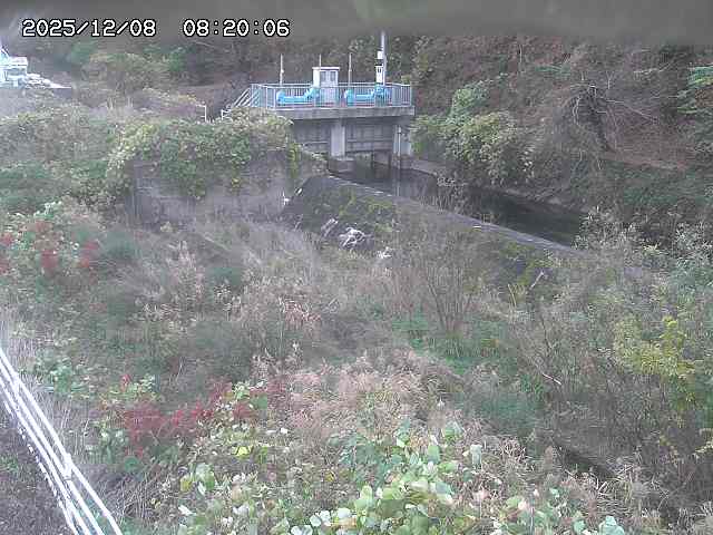 山白川３2025/12/08 11:30:00