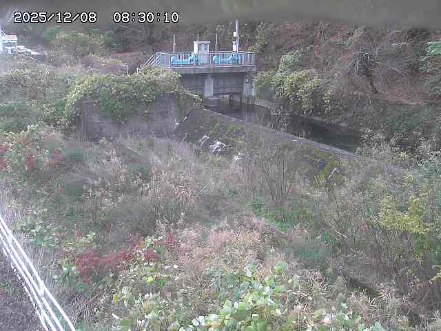 山白川３2025/12/08 11:30:00