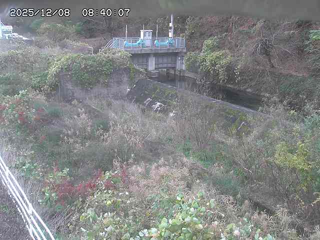 山白川３2025/12/08 11:30:00