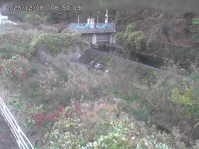 山白川３2025/12/08 11:30:00