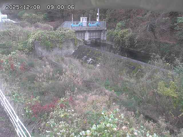 山白川３2025/12/08 11:30:00