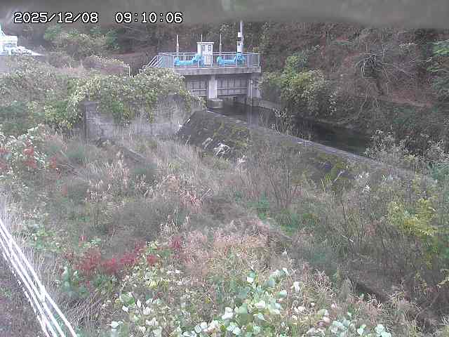 山白川３2025/12/08 11:30:00