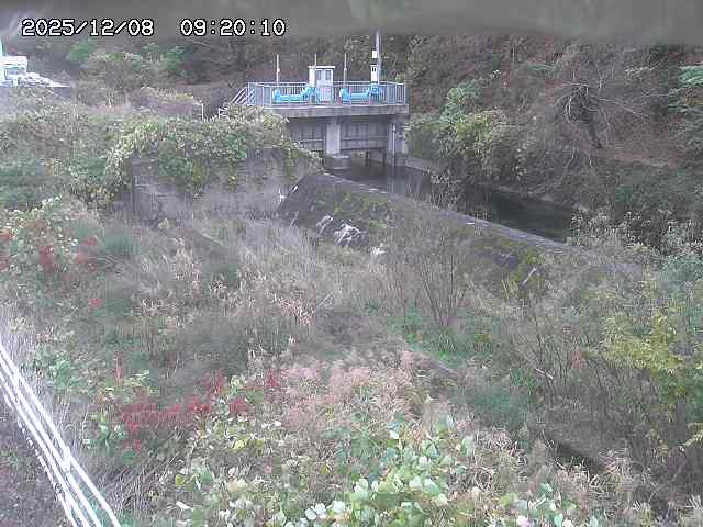 山白川３2025/12/08 11:30:00