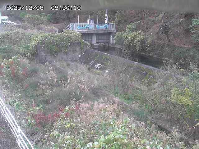 山白川３2025/12/08 11:30:00