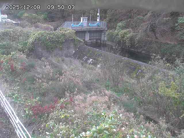 山白川３2025/12/08 11:30:00