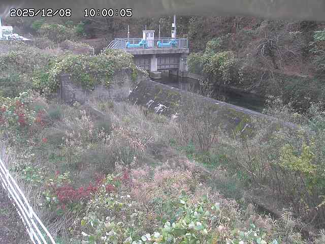 山白川３2025/12/08 11:30:00