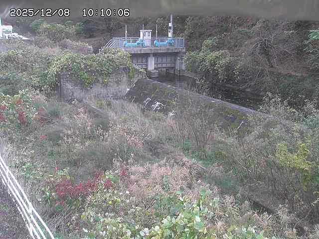 山白川３2025/12/08 11:30:00