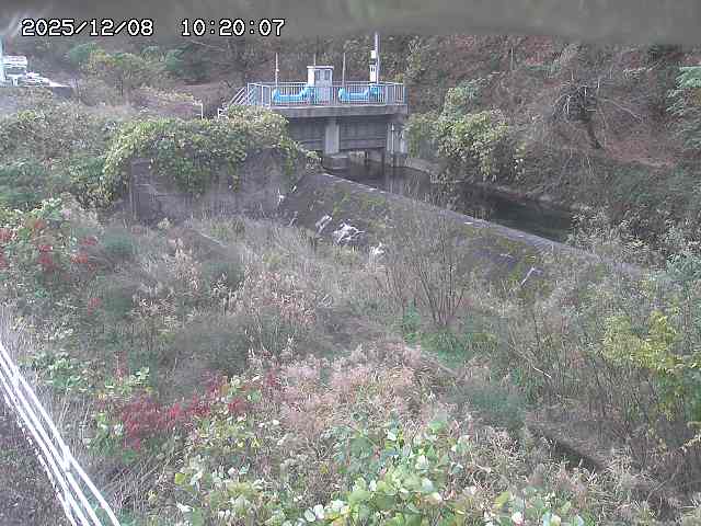 山白川３2025/12/08 11:30:00