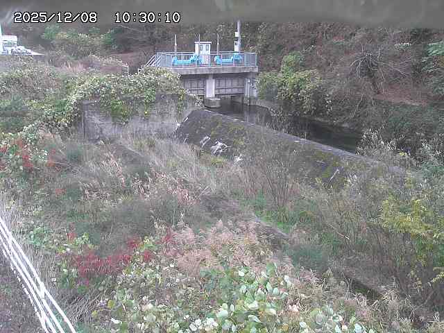 山白川３2025/12/08 11:30:00