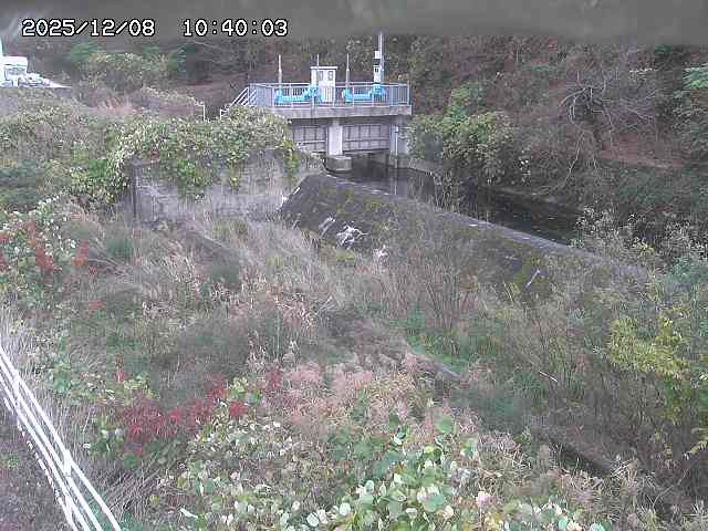 山白川３2025/12/08 11:30:00