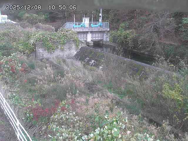 山白川３2025/12/08 11:30:00