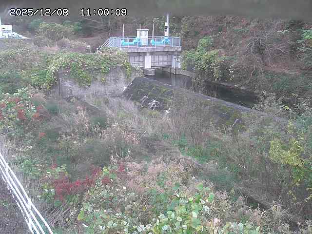 山白川３2025/12/08 11:30:00