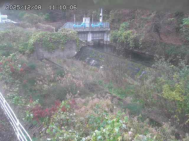 山白川３2025/12/08 11:30:00