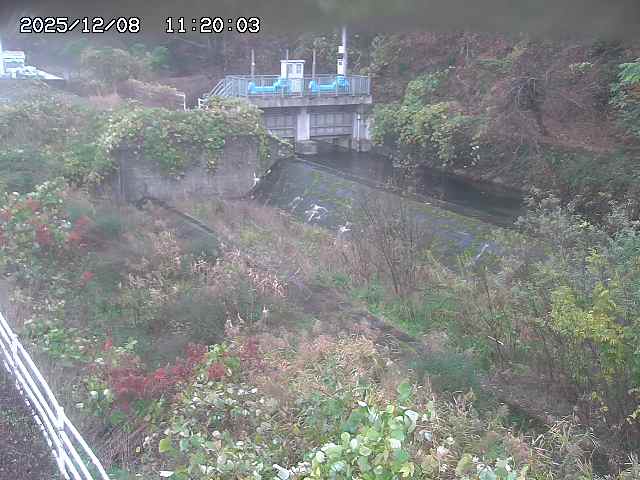 山白川３2025/12/08 11:30:00