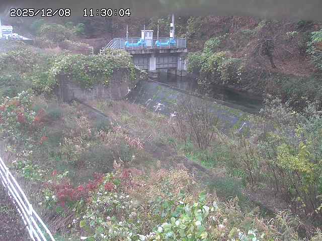山白川３2025/12/08 11:30:00