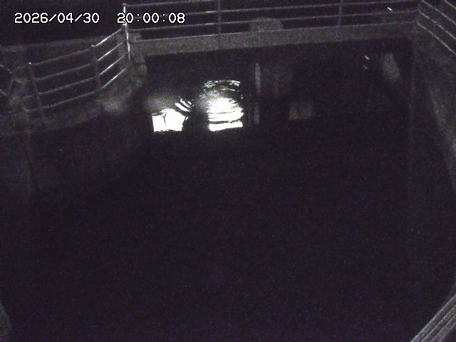 山白川排水機場2026/05/01 16:50:00