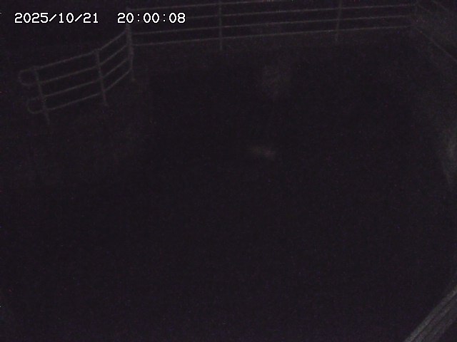 山白川排水機場2025/10/22 11:20:00