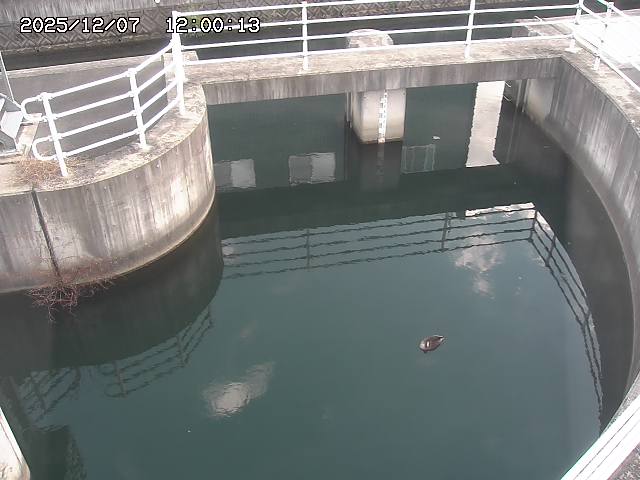 山白川排水機場2025/12/08 11:30:00