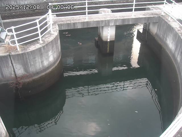 山白川排水機場2025/12/08 11:30:00