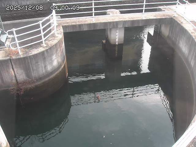 山白川排水機場2025/12/08 11:30:00