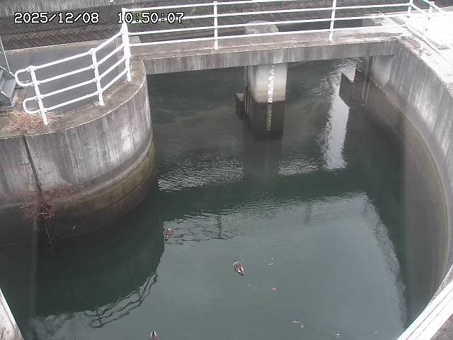 山白川排水機場2025/12/08 11:30:00