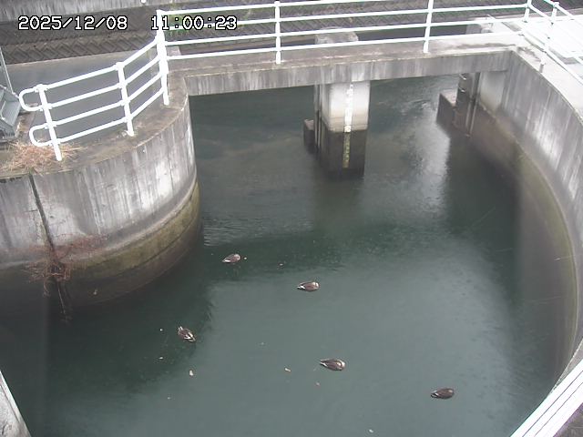 山白川排水機場2025/12/08 11:30:00