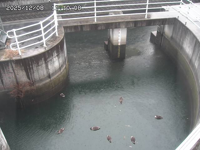 山白川排水機場2025/12/08 11:30:00
