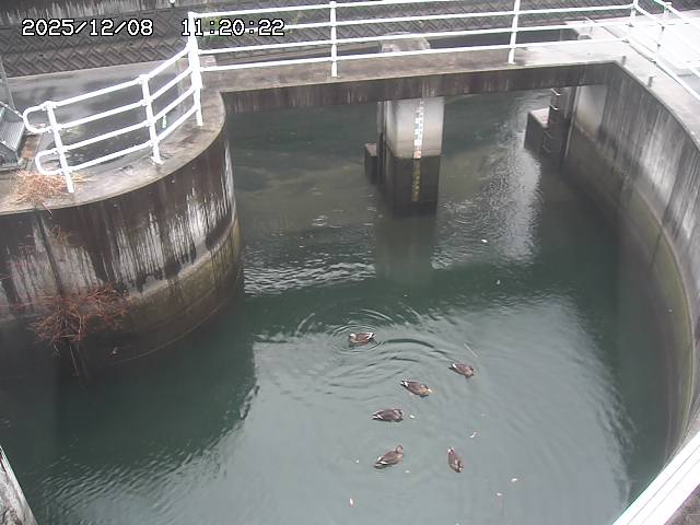 山白川排水機場2025/12/08 11:30:00