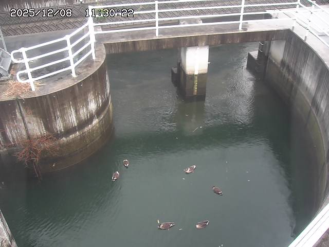 山白川排水機場2025/12/08 11:30:00