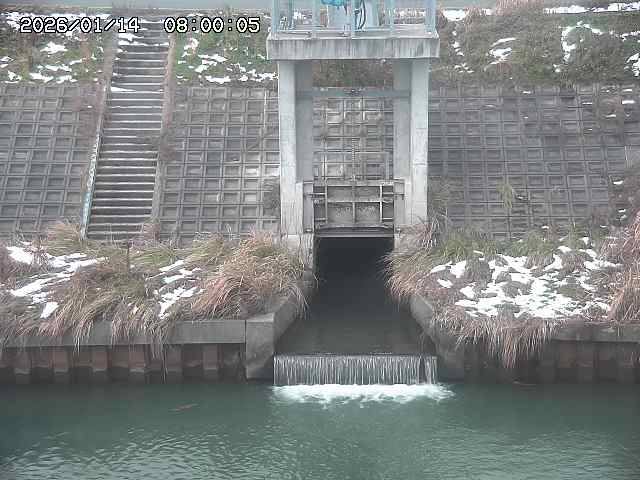 大路川２2026/01/14 20:00