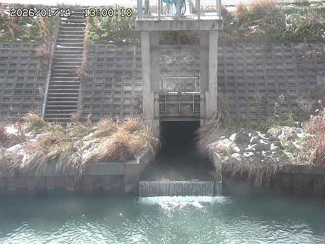 大路川２2026/01/14 20:00