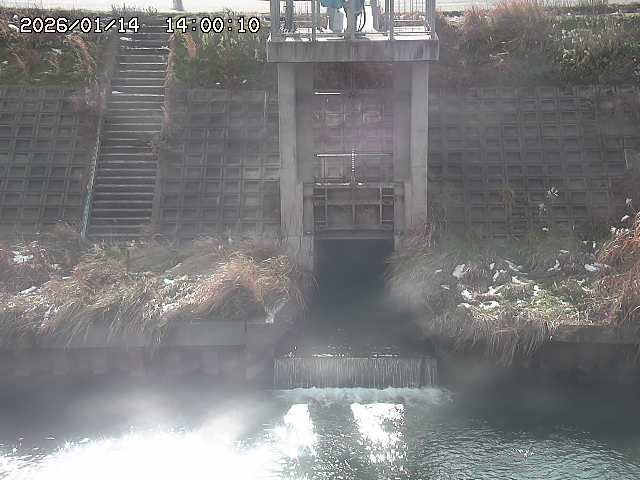 大路川２2026/01/14 20:00