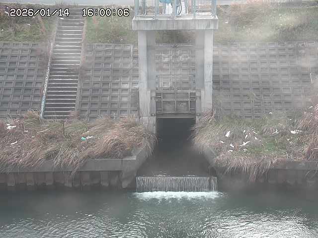 大路川２2026/01/14 20:00