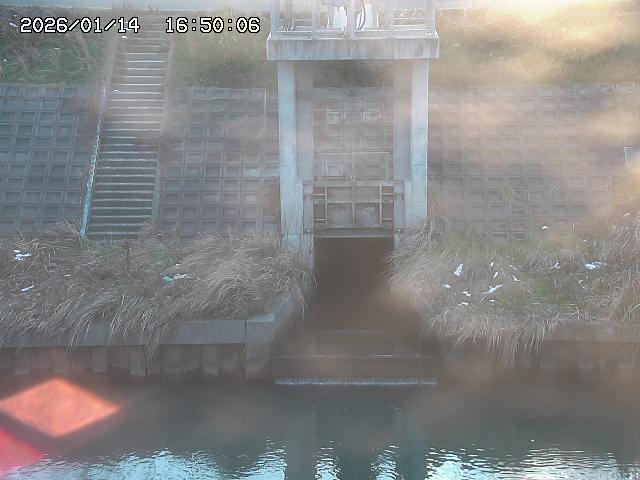 大路川２2026/01/14 20:00