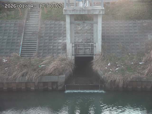 大路川２2026/01/14 20:00