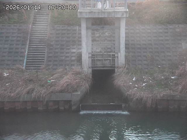 大路川２2026/01/14 20:00