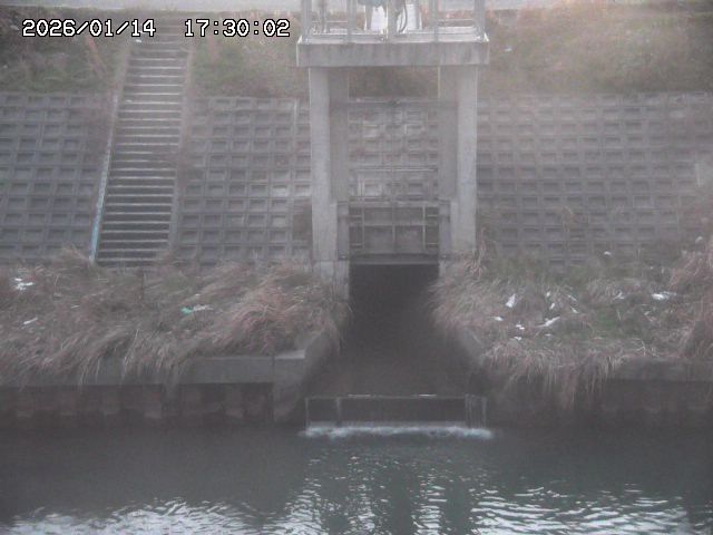 大路川２2026/01/14 20:00