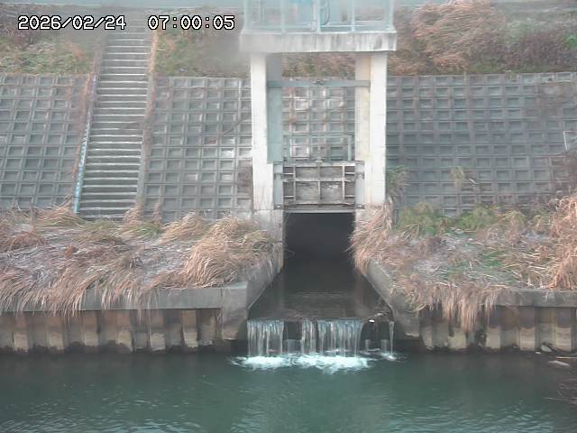 大路川２2026/02/25 02:20