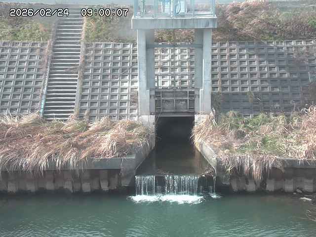 大路川２2026/02/25 02:20